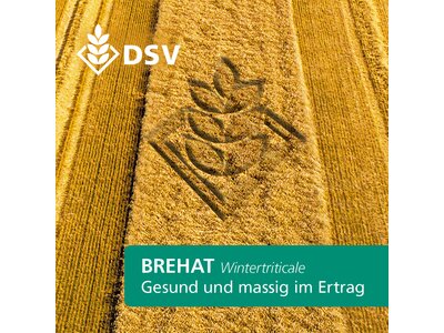 Brehat-0