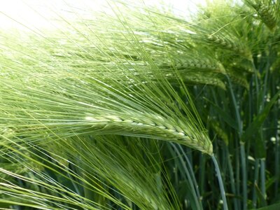 Paradies-2