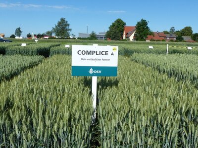 Complice-2