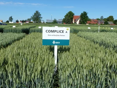 Complice-2