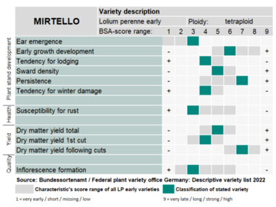 Mirtello-0