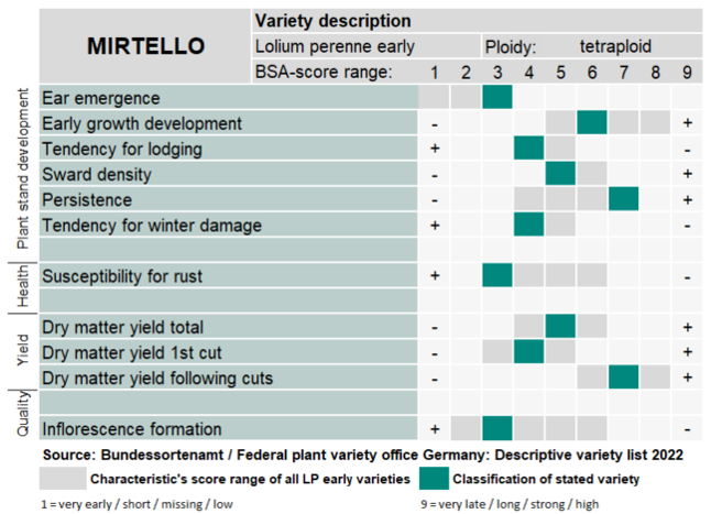 Mirtello-0