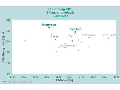 Blandeen-1