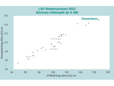 Clementeen-2