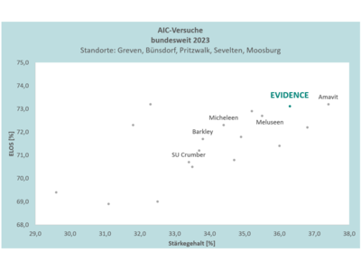 Evidence-3
