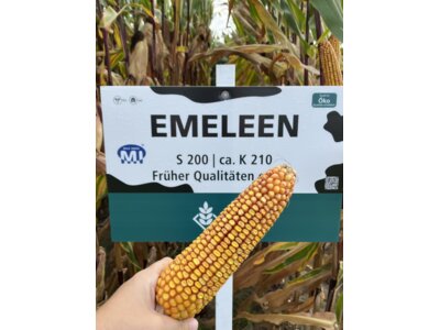 Emeleen-1