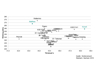 Korynt-7