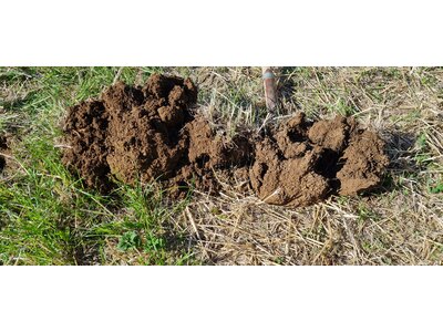 TerraLife® - CerealPro -7