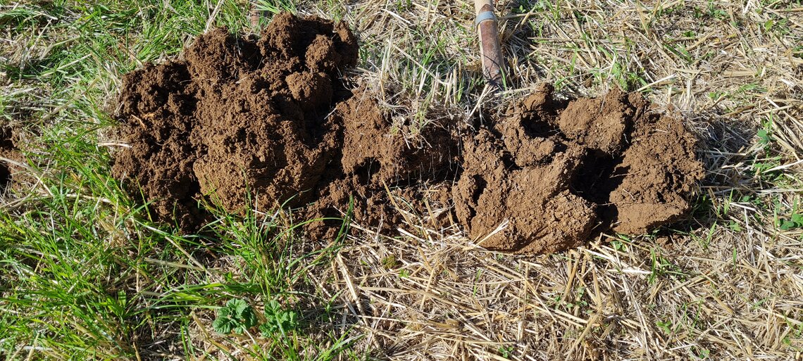 TerraLife® - CerealPro -7