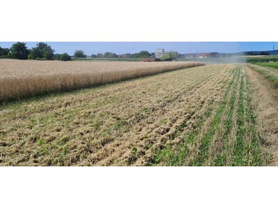 TerraLife® - CerealPro -6