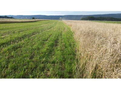 TerraLife® - CerealPro -5