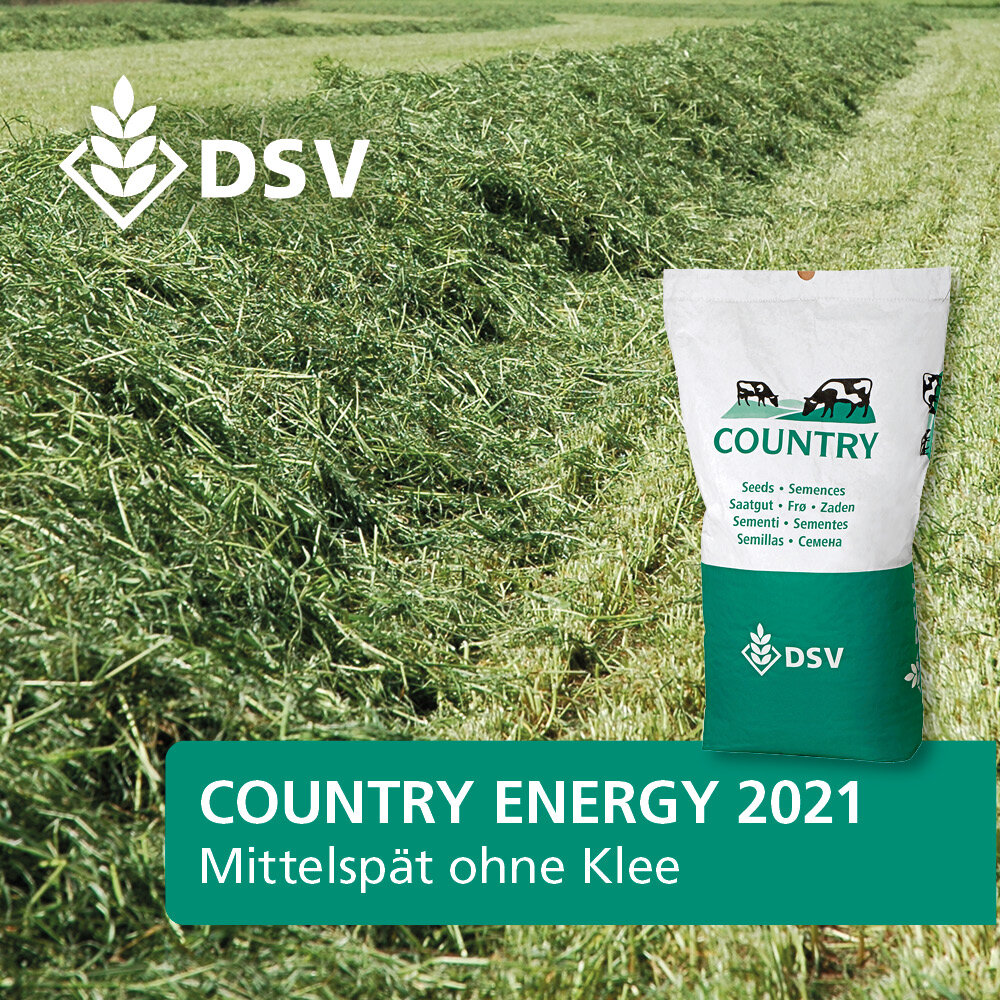 COUNTRY Energy 2021-0