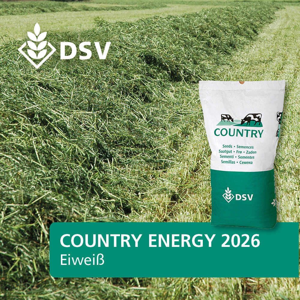 COUNTRY Energy 2026-0