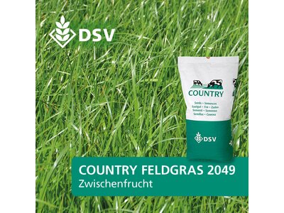COUNTRY Feldgras 2049-0
