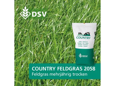 COUNTRY Feldgras 2058-0