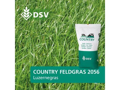 DSV COUNTRY Feldgras 2056 Luzernegras 25 kg Grassamen Weidesamen Futtergras Saat 