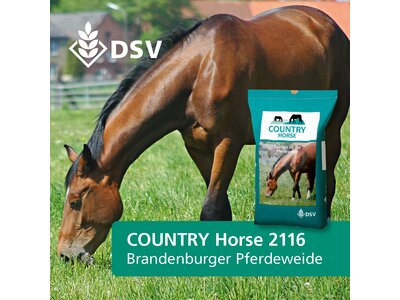 COUNTRY Horse 2116-0