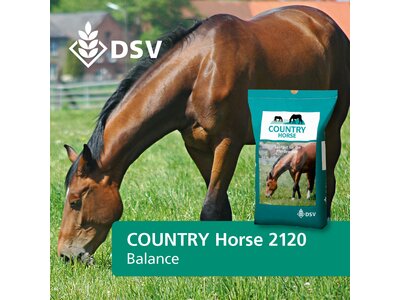 COUNTRY Horse 2120-0