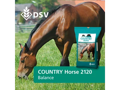 COUNTRY Horse 2120-0
