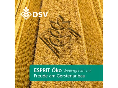 Esprit Öko-0