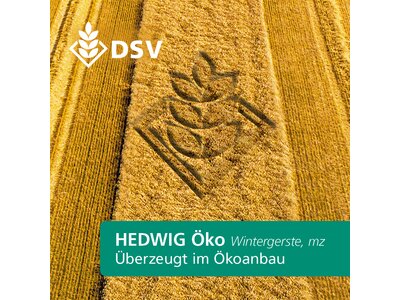 Hedwig Öko-0