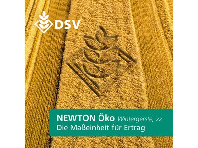 Newton Öko-0