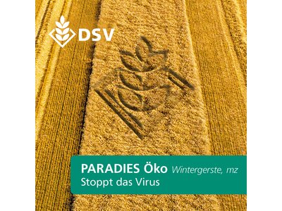 Paradies Öko-0