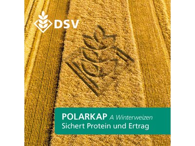 Polarkap-0