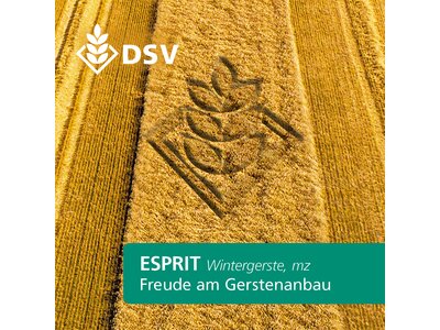 Esprit-0