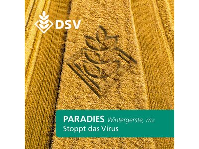Paradies-0