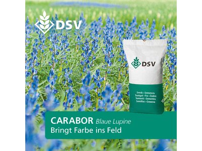 Carabor-0