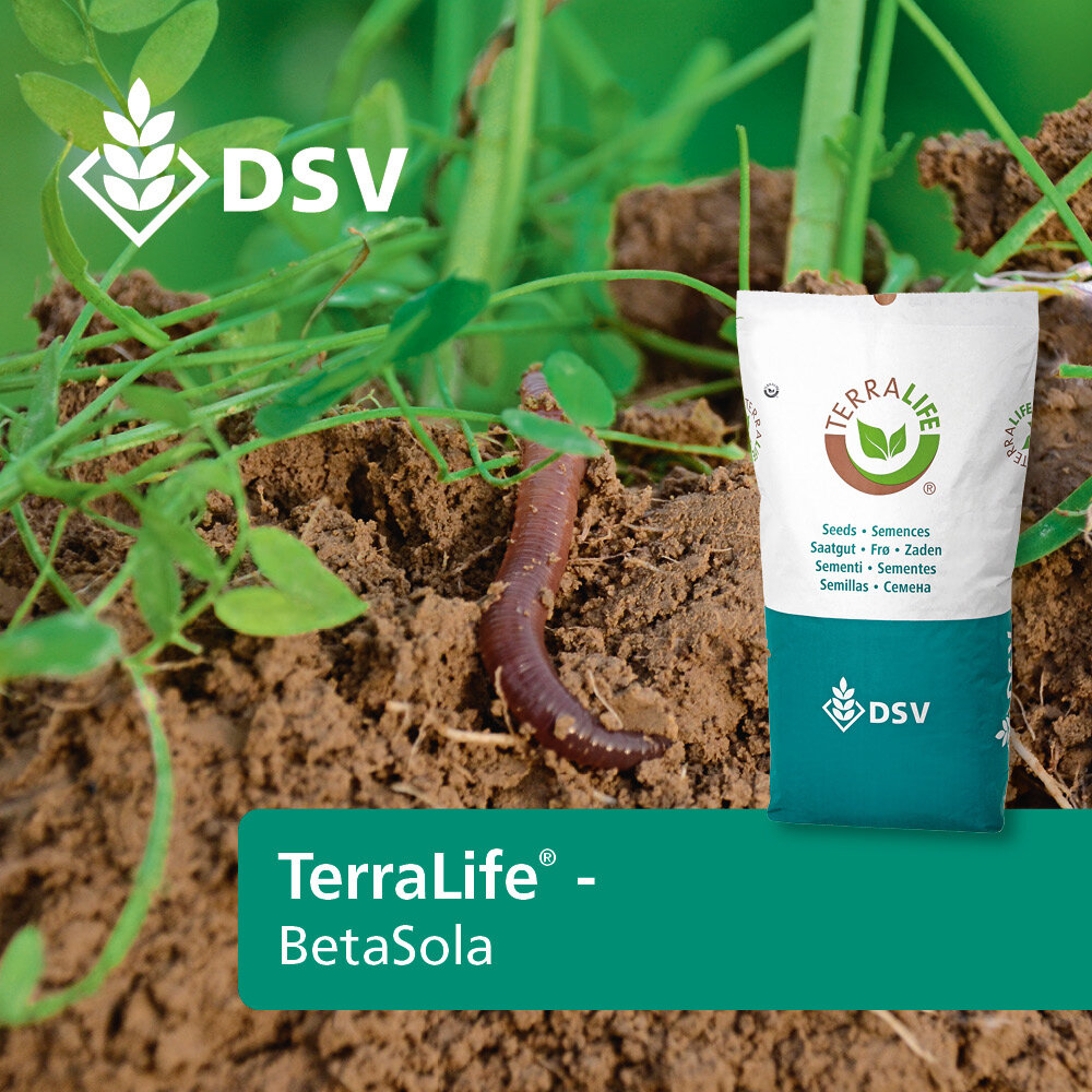 TerraLife® - BetaSola-0
