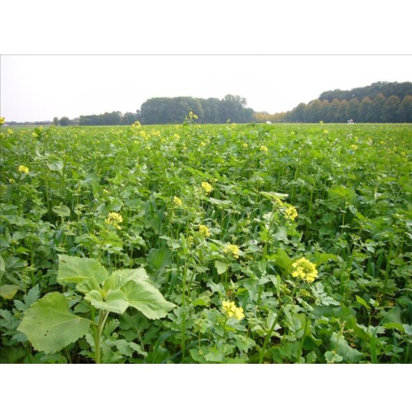 TerraLife®-BioMaxx Organic-2