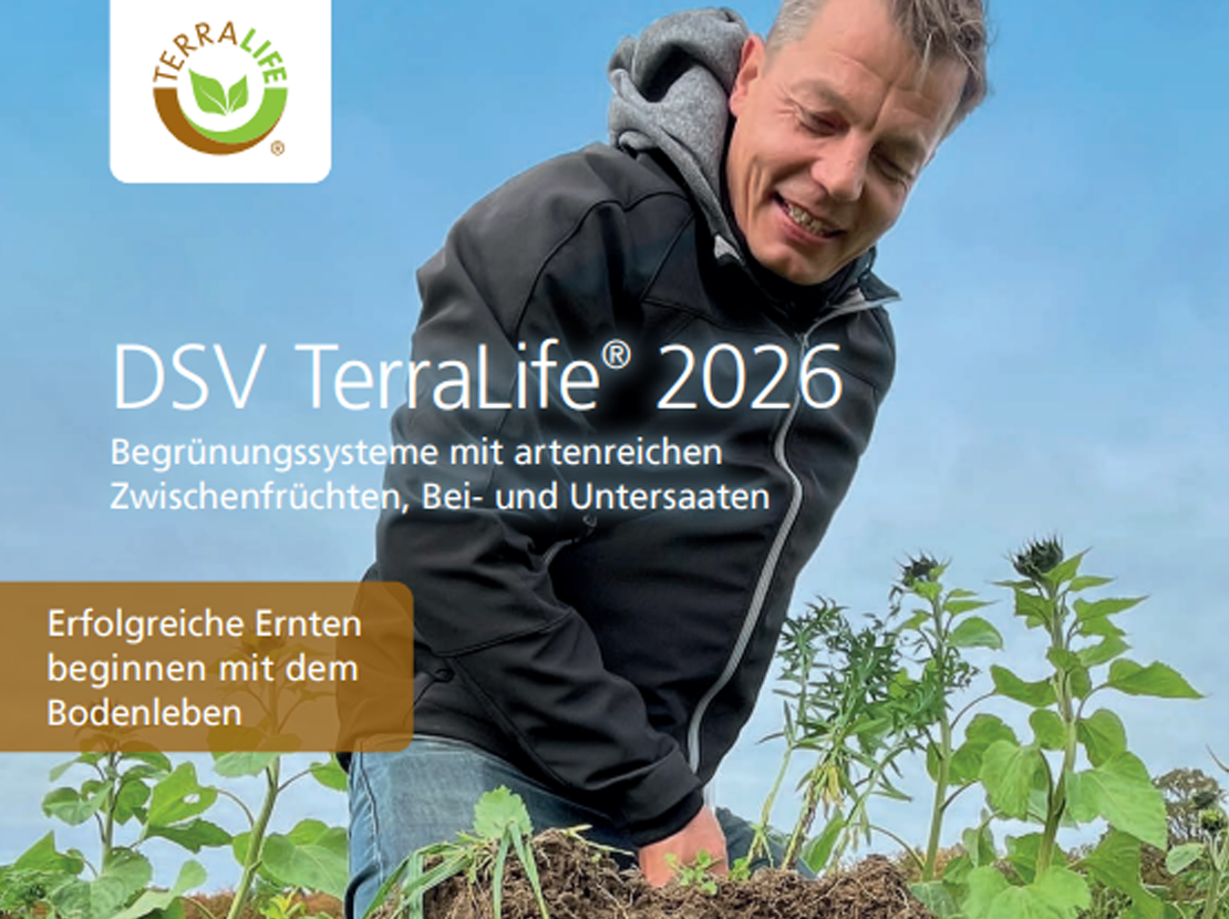 Person untersucht Pflanzen und Wurzeln auf einem Feld. Coverbild der TerraLife®-Broschüre 2026