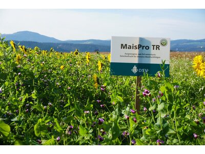 TerraLife® - MaisPro TR-2