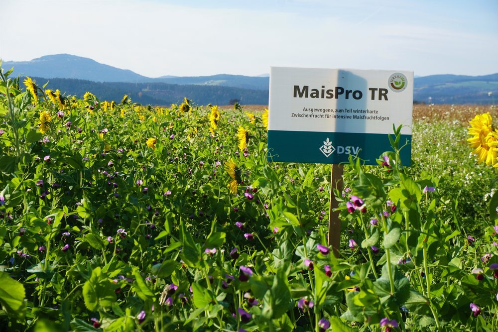 TerraLife® - MaisPro TR-2