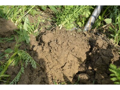 TerraLife® - MaisPro TR-3