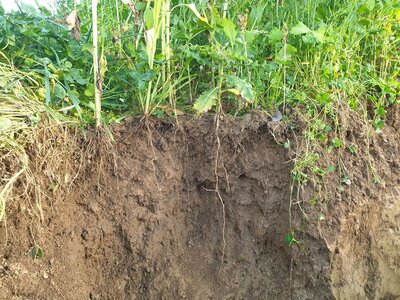 TerraLife® - MaisPro TR 30-2