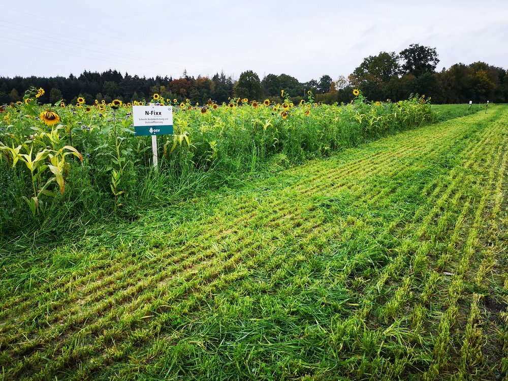 TerraLife® - N-Fixx 50-7