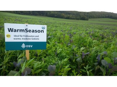 TerraLife® - WarmSeason-2