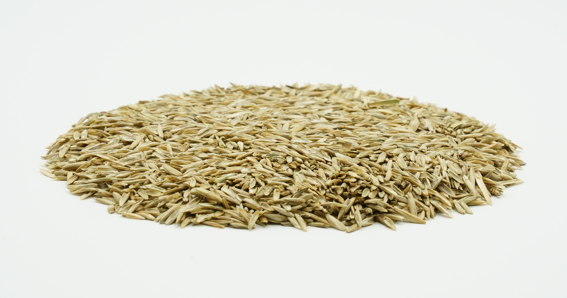 COUNTRY Grünland 2462 Organic-2