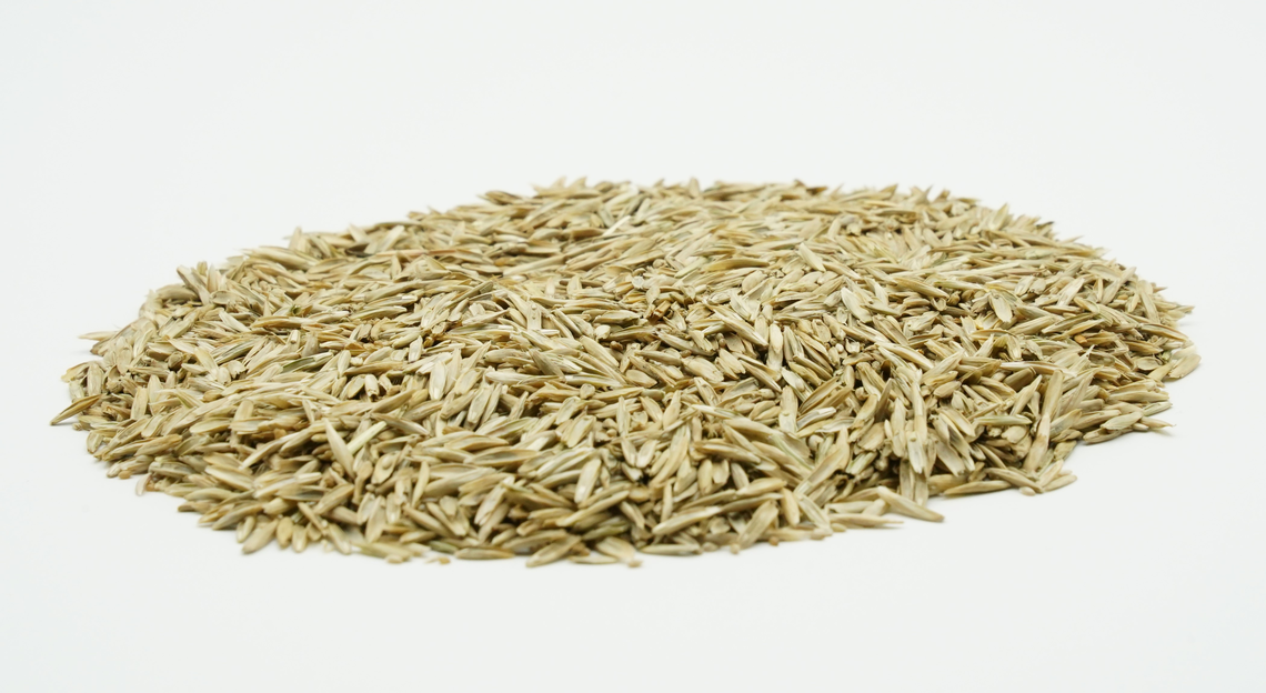 COUNTRY Energy 2021-2