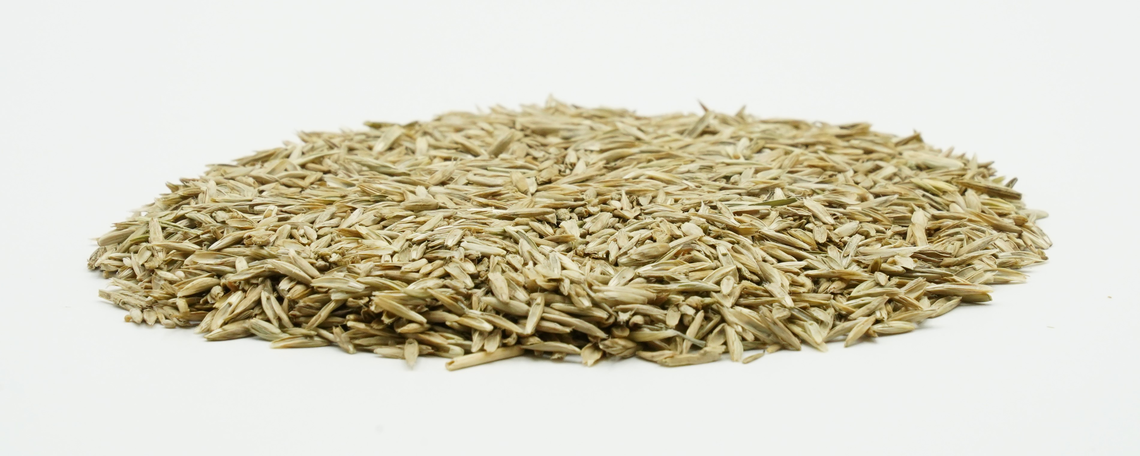 COUNTRY Energy 2024-2