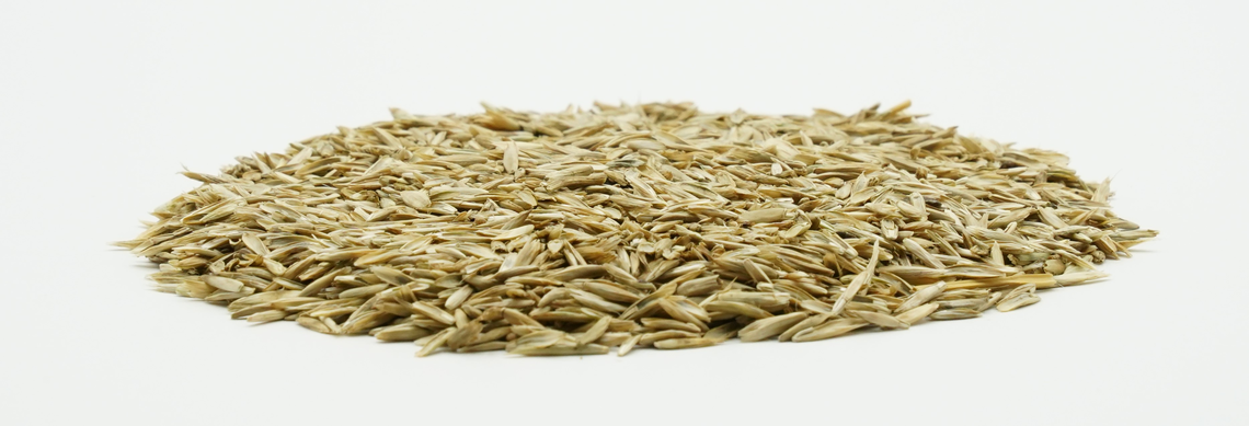 COUNTRY Energy 2030-2