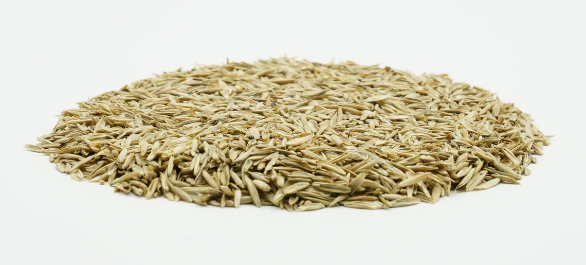 COUNTRY Energy 2031-2