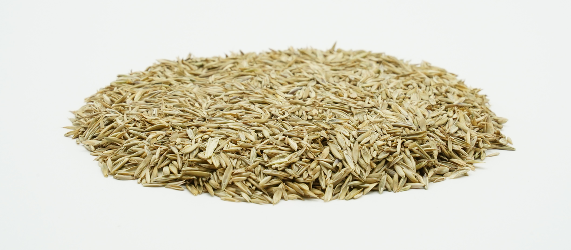 COUNTRY Feldgras 2048-2