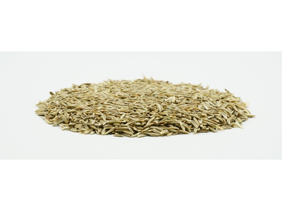 COUNTRY Feldgras 2050-2