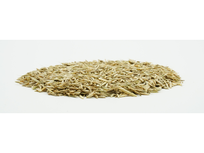 COUNTRY Feldgras 2053 -2