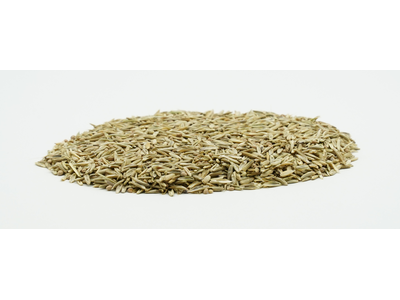 COUNTRY Feldgras 2054-2
