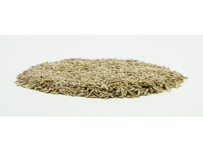 COUNTRY Feldgras 2480 Organic-2